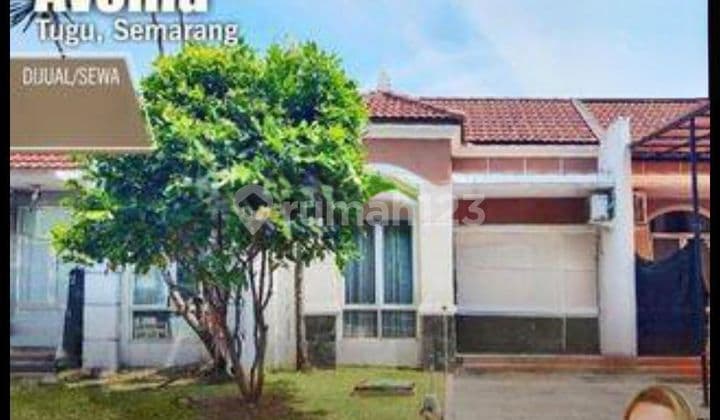 Rumah tengah kota Semarang siap pakai dekat bandara dekat tol disewakan di graha padma avonia semarang barat