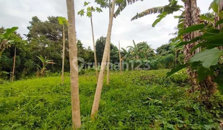 Tanah Sangat Murah Kairagi Mapanget Kayuwatu Manado
