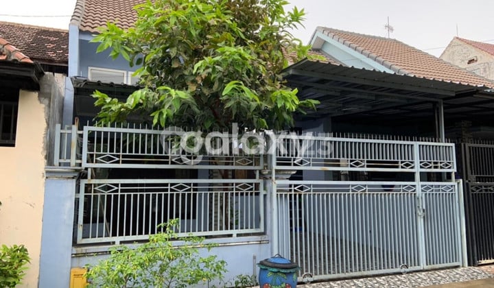 Affordable House Area Soekarno Hatta Malang Bantaran Bunga Kalpataru Cengger Ayam