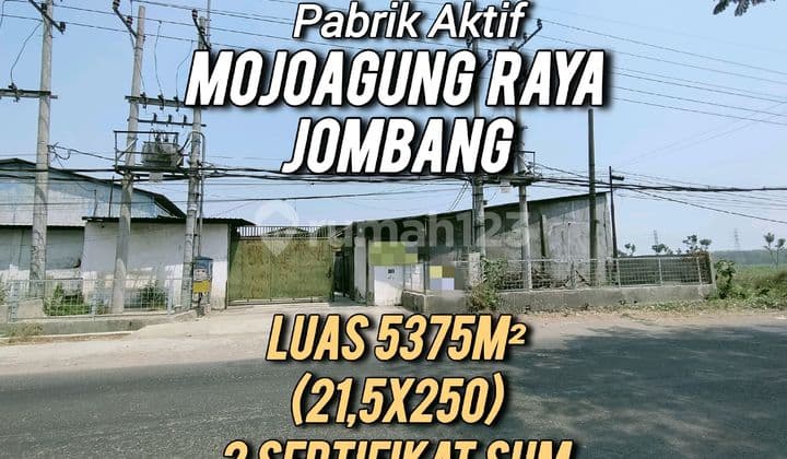 Pabrik Aktif Mojoagung Raya Jombang Jawa Timur