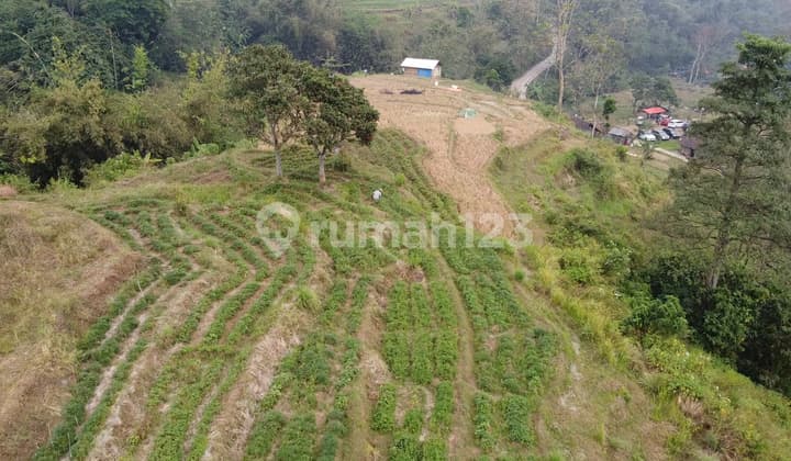 Tanah 1552 M2 SHM Mojokerto, Mojokerto