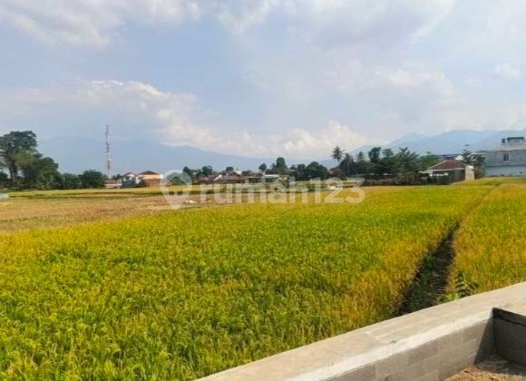 Murah Tanah di Main Road Soreang Dekat Saung Soreang1,5 Hectare