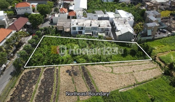 Tanah Strategis di Jalan Raya Tumbak Bayuh, Canggu - Pererenan
