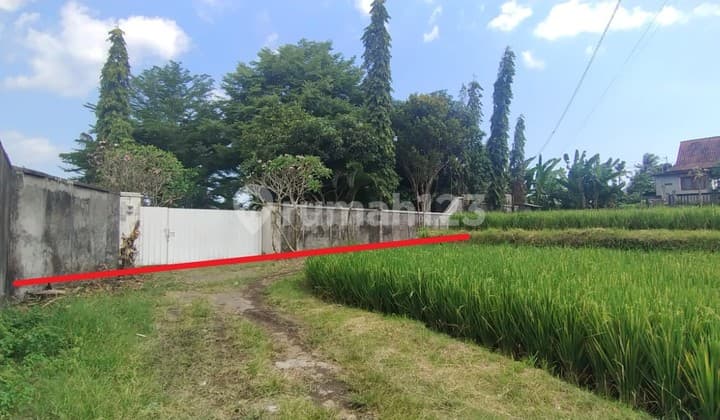 Tanah View Sawah dan Laut di Jalan Pantai Masceti, Gianyar