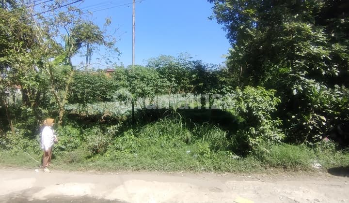 Tanah Dijual Murah Dibawah Harga Pasaran di Lembang Jayagiri Bandung Barat Cocok untuk Villa Rumah Tinggal dan Pertanian