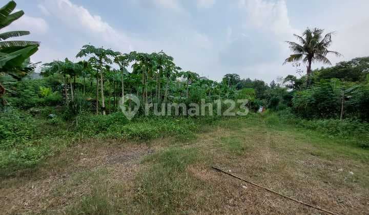 Dijual Murah Tanah Siap Bangun Di Cibubur Perumahan Raffles Hills Seberang Trans Studio Cibubur