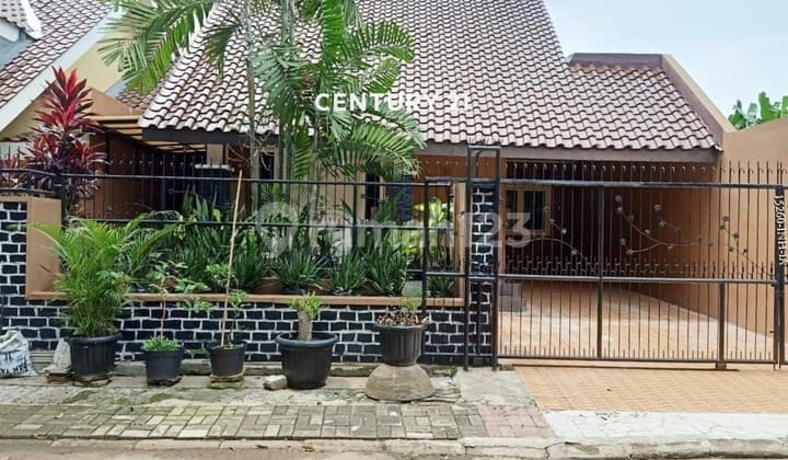 Rumah Baru Renovasi Siap Huni Disewakan di Anggrek Loka BSD City