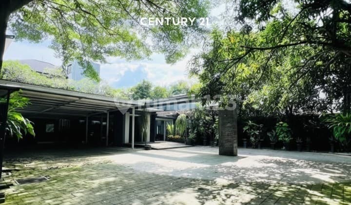 Rumah Asri dengan Tanah Luas di Bintaro Jaya Sektor 5