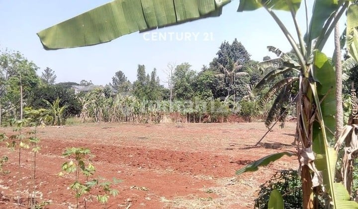 Dijual Murah Kavling Padat Cocok untuk Cluster di Bintaro Parigi