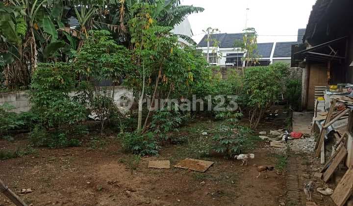 GOOD AND CHEAP GARDEN LAND IN SURADITA CISAUK