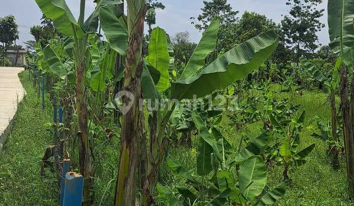 Turun Harga! Tanah 2.380 M² Pinggir Jalan Raya