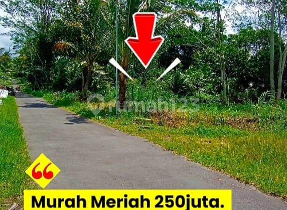 Affordable Land, Scenic Rice Field Environment, Pakem.
