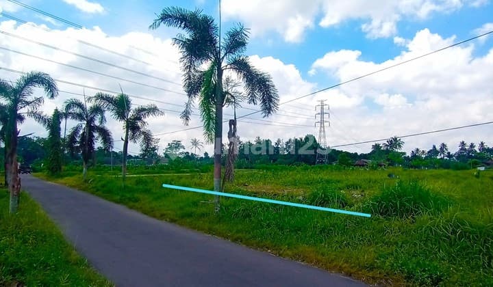 Jual Tanah Timur Pasar Gentan Jalan Kaliurang Km10