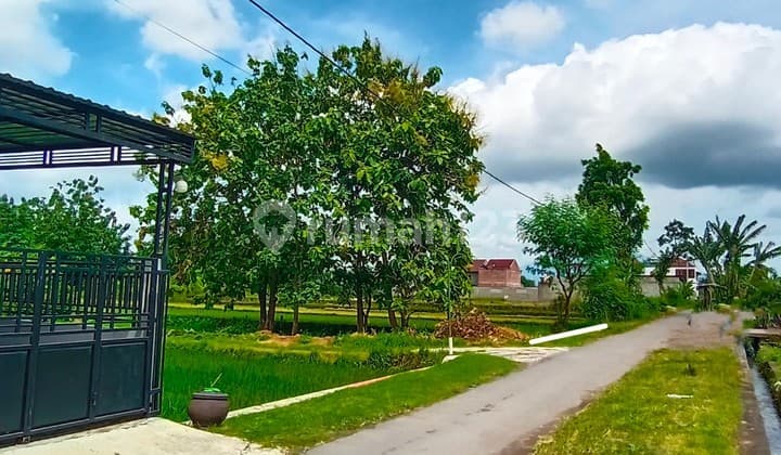 Jual Tanah Cantik Berbah View Sawah dan Gunung