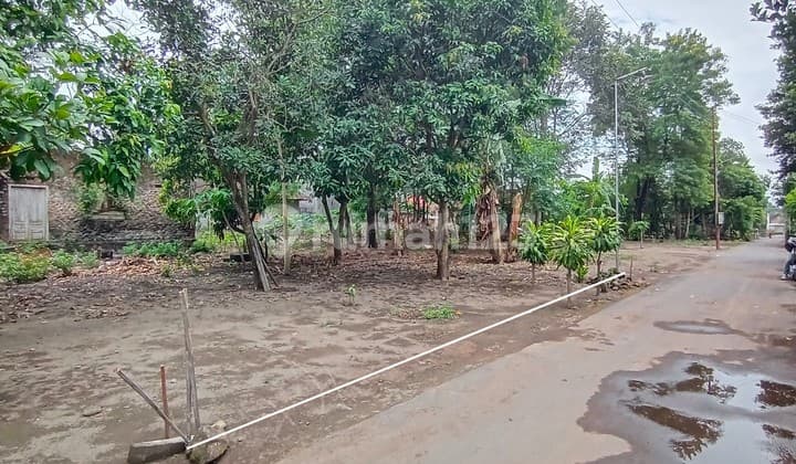 Cheap Land for Sale Near Main Road in Diselomartani