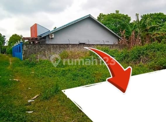 Tanah Murah Sekitar Sd Model & Stadion Maguwoharjo