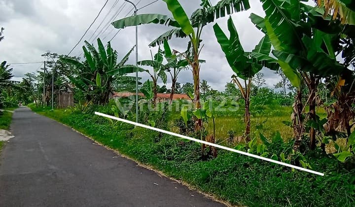 Tanah Maguwoharjo Area Perumahan Dkt Stadion Ringroad Exit Toll