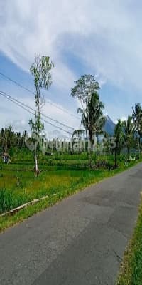 Tanah Strategis Murah View Gunung Tepi Jalan Raya