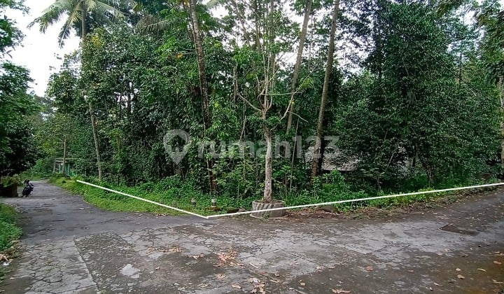 Jual Tanah Pekarangan Murah Dicangkringan Dkt Merapi Golf