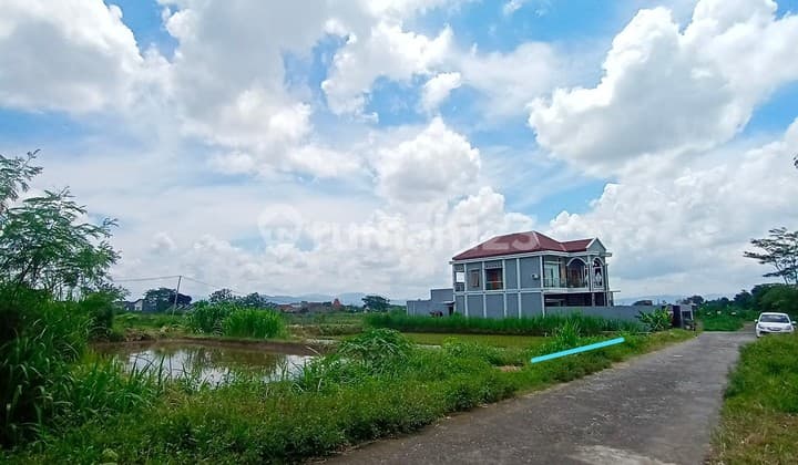 Land for Sale with Rice Field and Mount Merapi View in Purwomartani, Kalasan