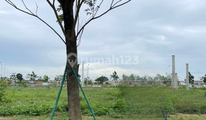 Disewa Kavling Komersial Wallstreet Pik2 Uk 350 M² At Tangerang