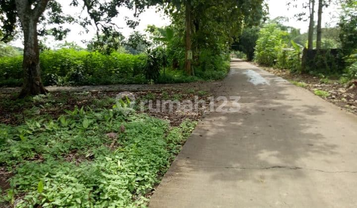 Di Sewakan 1000M2 Tanah Datar Desa Dandang Cisauk Tangerang