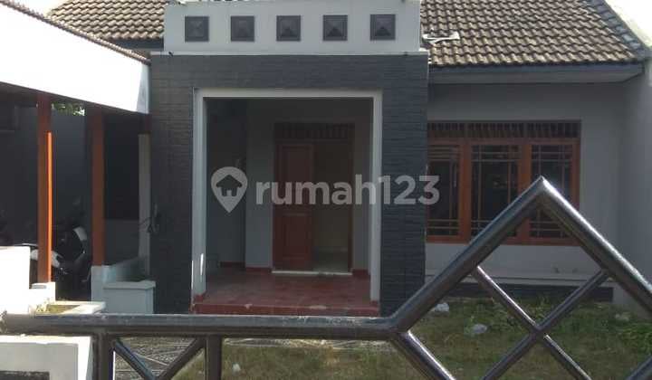 Rumah Tanah Luas Di Siberut, Sinduadi, Mlati, Sleman.