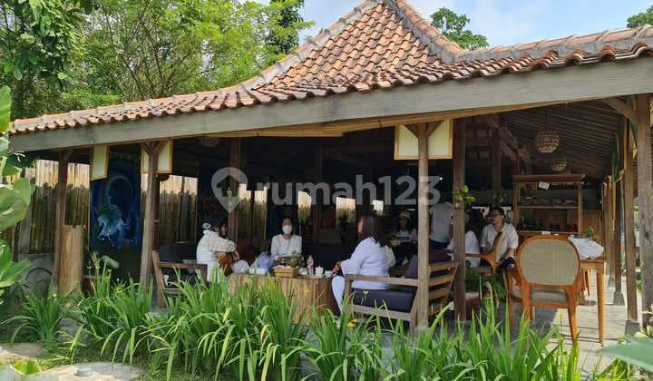 Villa Kayu View Sawah, Bangunjiwo, Kasihan, Bantul