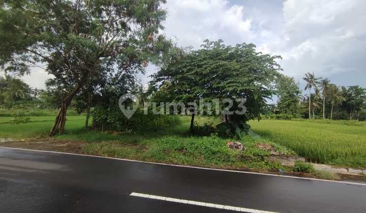 Tanah Cocok Untuk Villa Atau Resto, Ngaglik, Sleman, Jogja