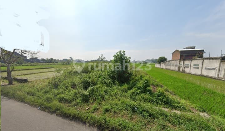 Tanah Sawah Di Pinggir Jalan Raya, Godean, Sleman, Jogja