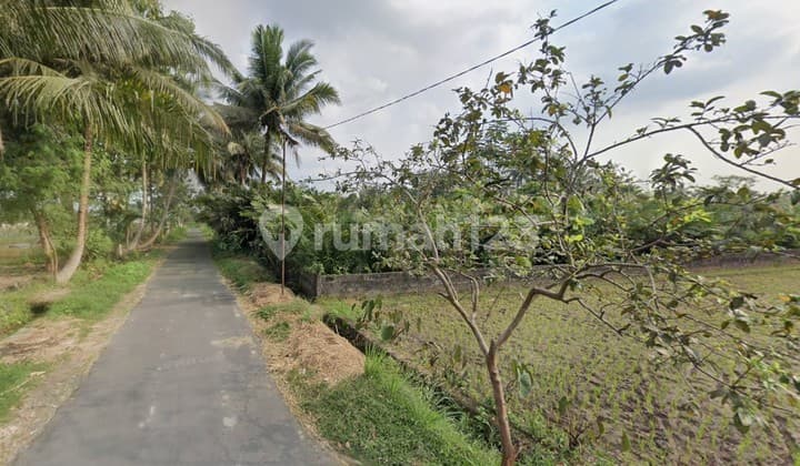 Tanah Sawah 1227 M2 Cocok untuk Villa, Donoharjo, Ngaglik, Sleman, Jogja