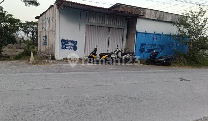 TANAH SHM SAWAH FISIK KERING LUAS 1 Ha, BASIN, KEBONARUM, KLATEN, JAWA TENGAH