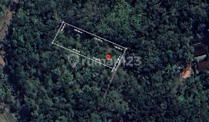 TANAH COCOK UNTUK USAHA PERTERNAKAN, NGLIPAR, GUNUNG KIDUL, JOGJA