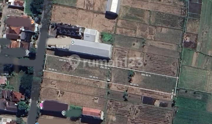 Tanah Sawah Cocok untuk Usaha, Badegan, Bantul, Jogja