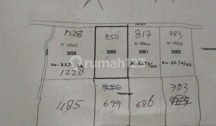 Dijual Tanah Pekarangan SHM 7.200 m² Wedomartani Sleman Yogyakarta
