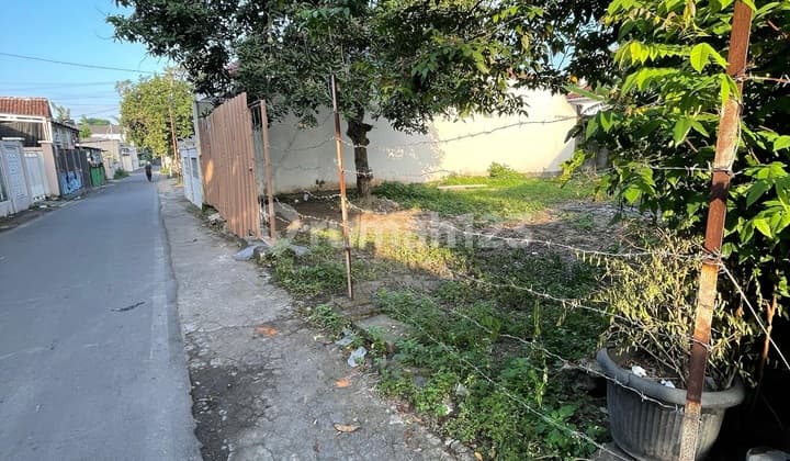 Strategic Land Jakal