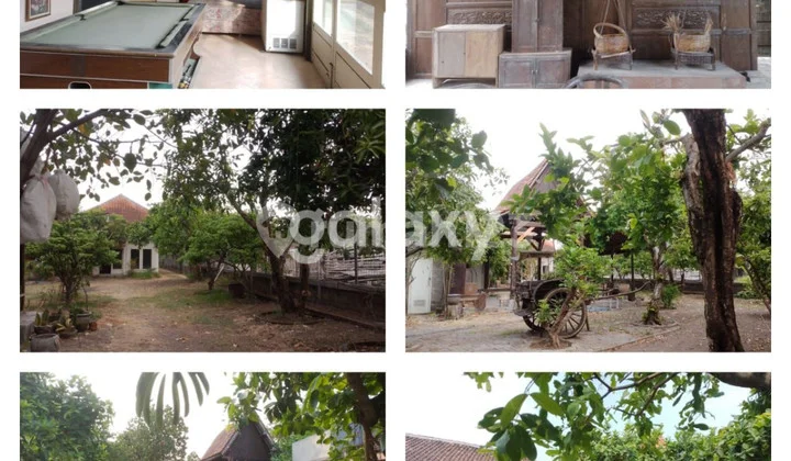 Rumah dan Tanah pekarangan luas Rumah dan Tanah pekarangan luas