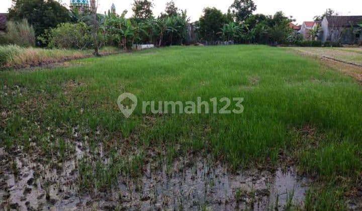 Wide Yard Land with SHM in Sukodono Sidoarjo