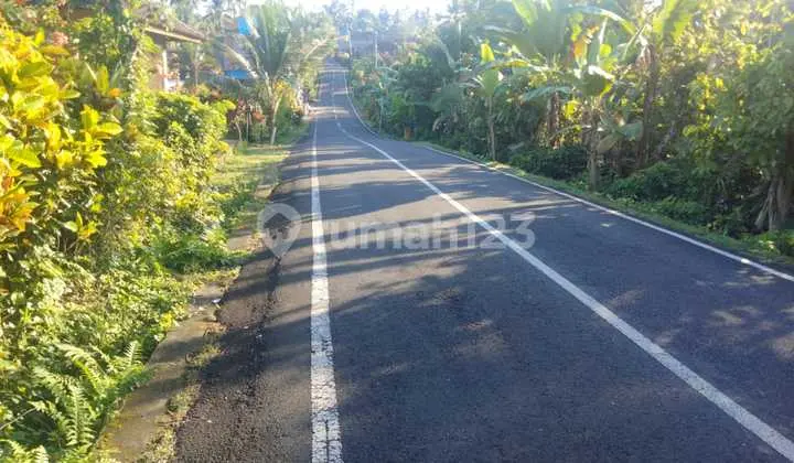 Land Freehold In Great Location Selemadeg Tabanan Bali