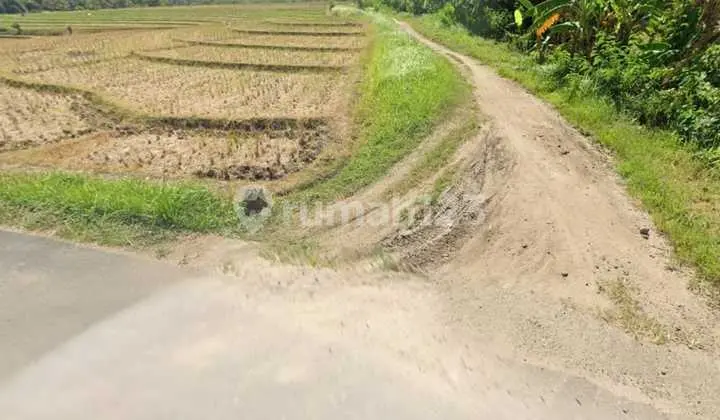 Land Freehold Close To The Beach Tabanan Bali