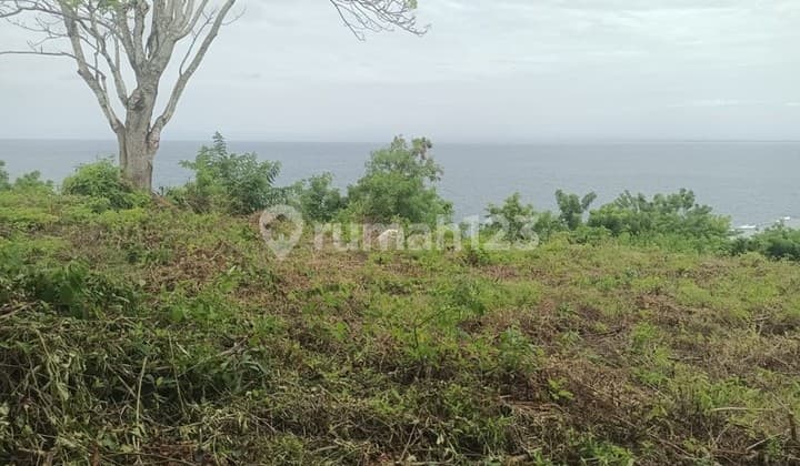 Land Cliff Front Leasehold In Great Location Thomas Beach Bali