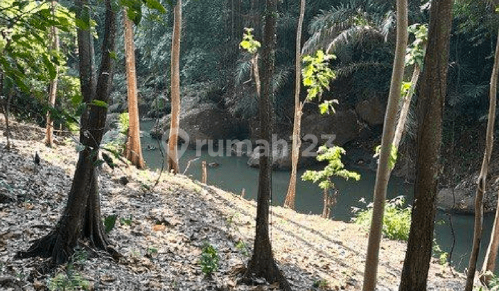 Land Leasehold River View In Cepaka Near Canggu Bali