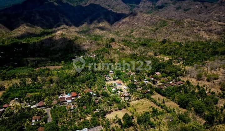 Land Freehold Close Beach In Singaraja Bali