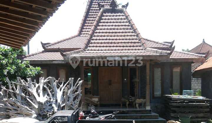 House Leasehold In Great Location Kerobokan Bali.