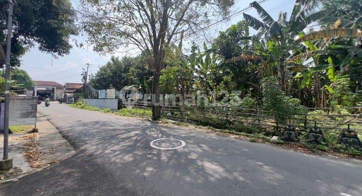 Beautiful Land Near City Center and Campus