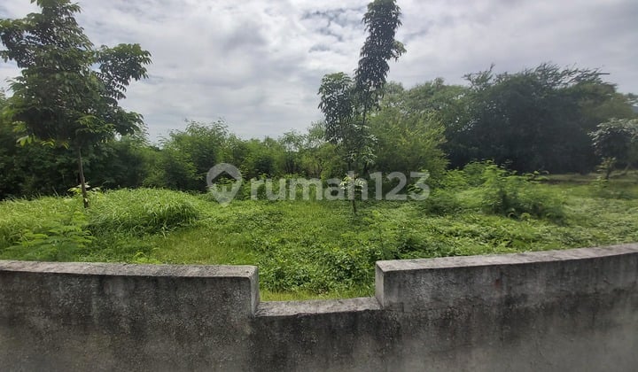 Jual Tanah Super Murah harga Sepertiga dari NJOP