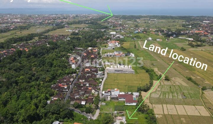 Small Freehold Land Plot For Sale In Nyanyi, North Side