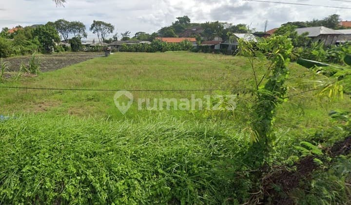 Tanah Disewakan di Jl. Merta Agung, Kerobokan