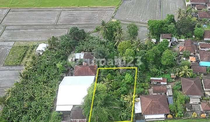 Beautiful Land For Lease, With A Quiet But Authentic Rural Atmosphere In Kaba Kaba