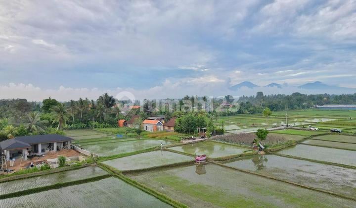 Dijual Tanah Daerah Ubud Gianyar Bali